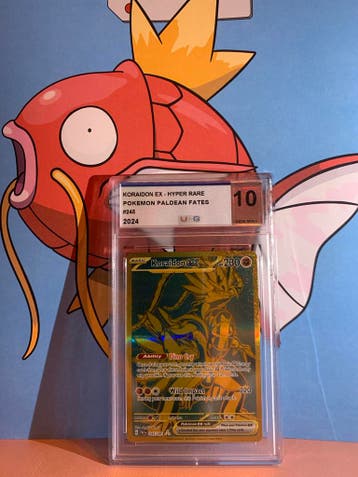 Koraidon EX Hyper Rare #245 Paldean Fates UCG 10 Gem Mint