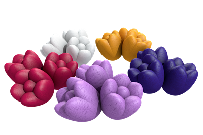 Windmill Valley Tulpen