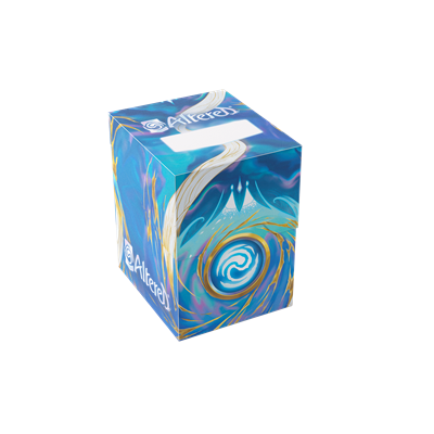 Expédition modifiée tempête de glace à boîte