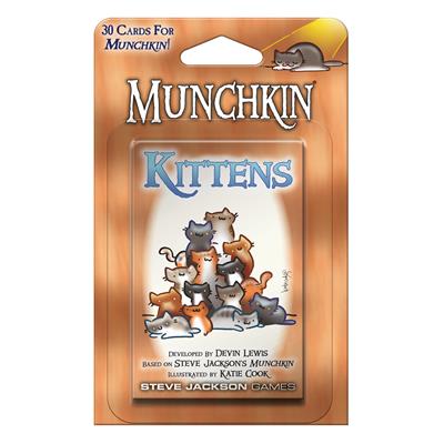 Munchkin yavru kedi