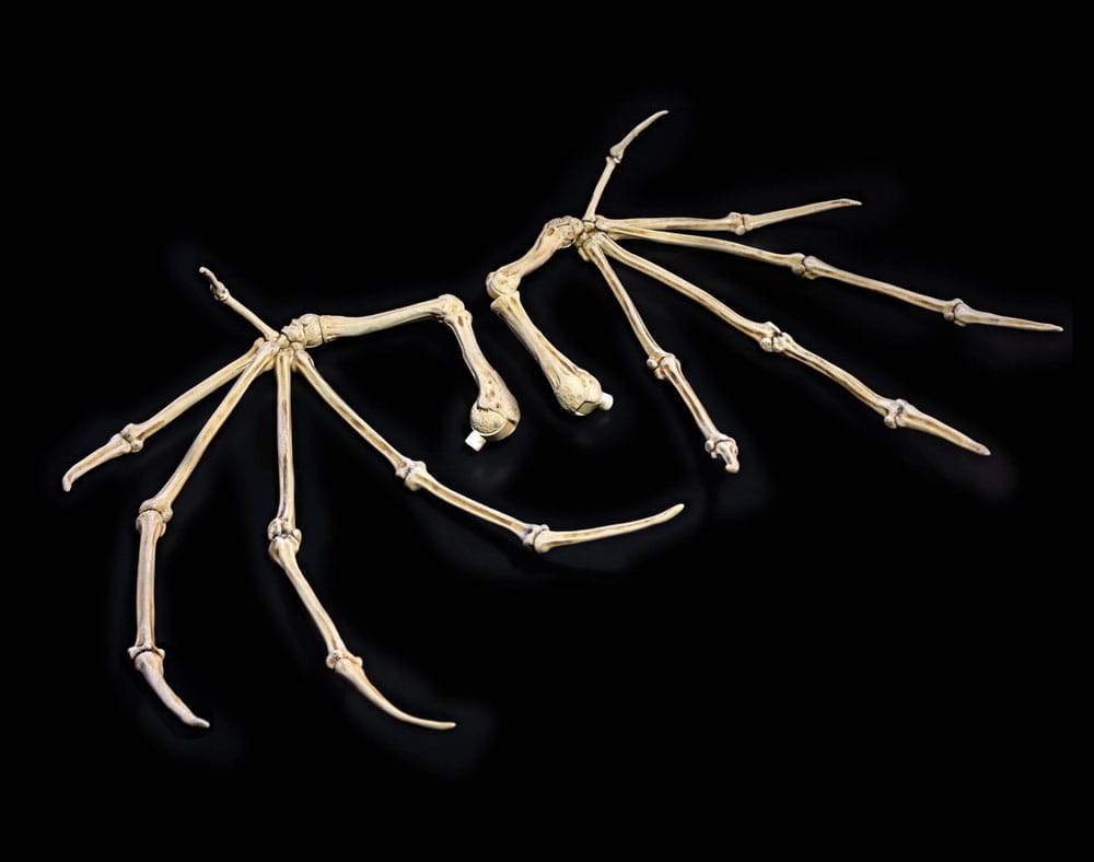 Mythic Legions: All Stars 6 Dodaci za akcijske figure Bone Wings