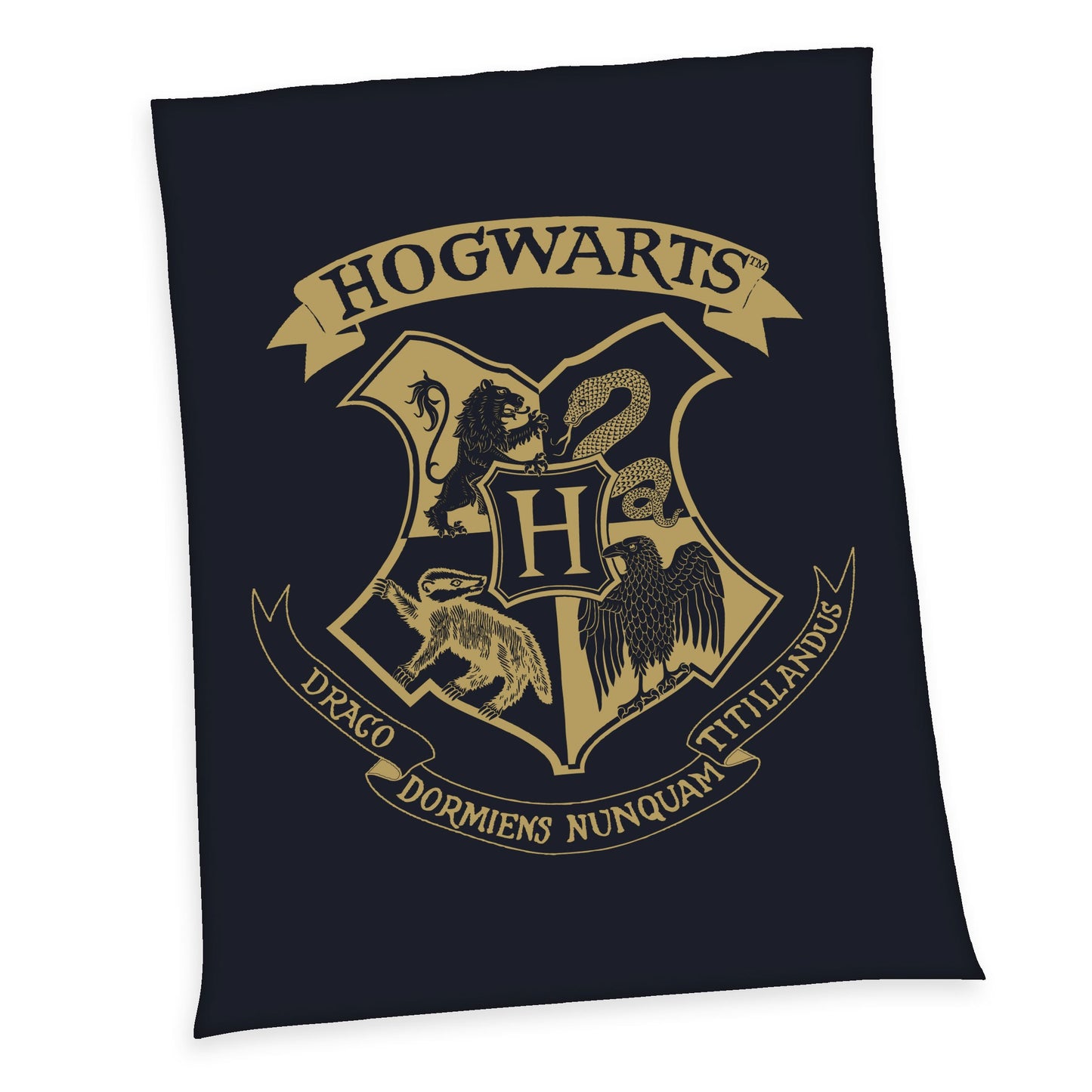 Harry Potter Fleece -filt Hogwarts 150 x 200 cm