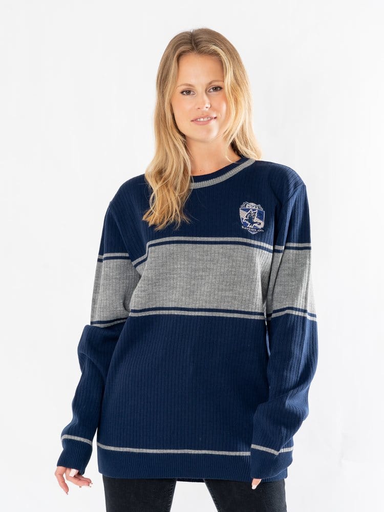 Maglione di Harry Potter Corvonero