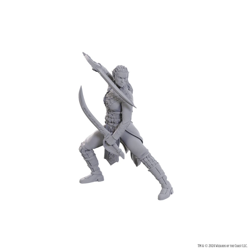 D&D Nolzurs wunderbare Miniaturen Unbemalte Miniatur Jaheira & Halsin