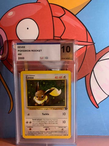 Evoli Pokémon Rocket 2000 UCG 10 Gem Mint