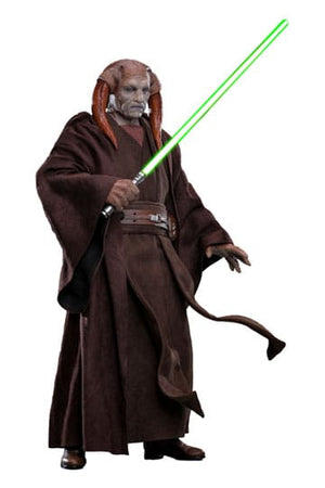 Star Wars: Episodio III - La vendetta dei Sith Film Capolavoro Action Figure 1/6 Saesee Tiin 31 cm