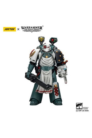 Warhammer 40.000: Sons of Horus Actiefiguur Legion Apotheker 12 cm