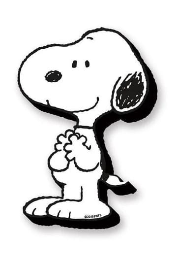 Peanuts: Snoopy Funky Chunky Magnets