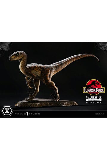 Jurassic Park Prime Collectibles Statue 1/10 Velociraptor Closed Mouth 19 cm