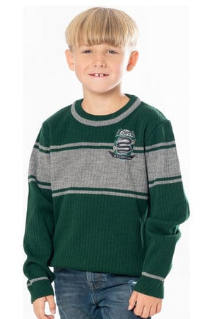 Pull Harry Potter Enfant Serpentard