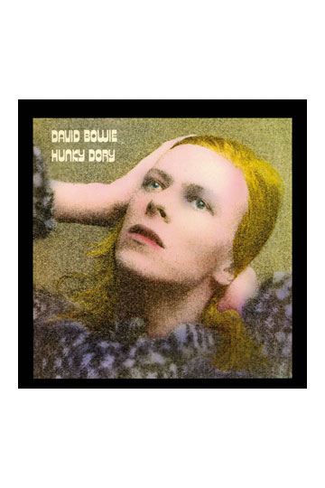 David Bowie Rock Saws Jigsaw Puzzle Hunky Dory (500 pieces)