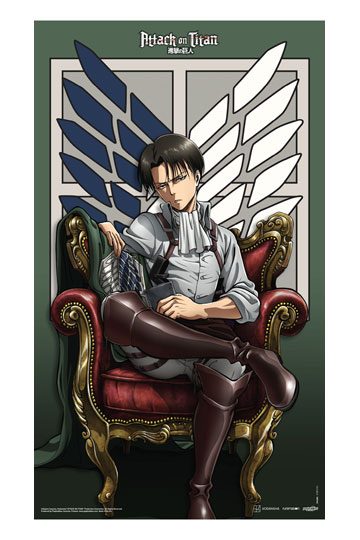 Attack on Titan: Levi Fabric Poster