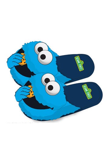 Sesame Street Slippers L-XL