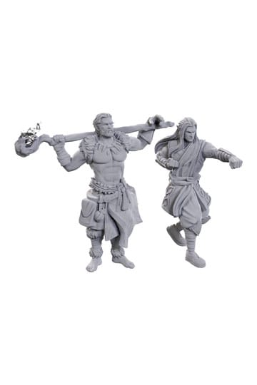 D&amp;D Nolzur's Marvelous Miniatures Ongeverfde Miniaturen 2-Pack Aartsdruïde &amp; Martial Arts Adept