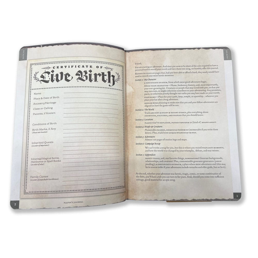 Anteckningsbok A5 -spelarens tidskrift Sage Green Shield