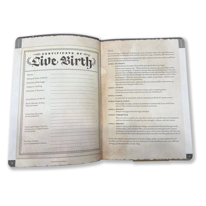 Anteckningsbok A5 -spelarens tidskrift Sage Green Shield