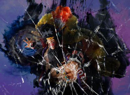 Één stuk S.H.Figuarts Actie Figuur Marshall D. Leer vier keizers 25 cm