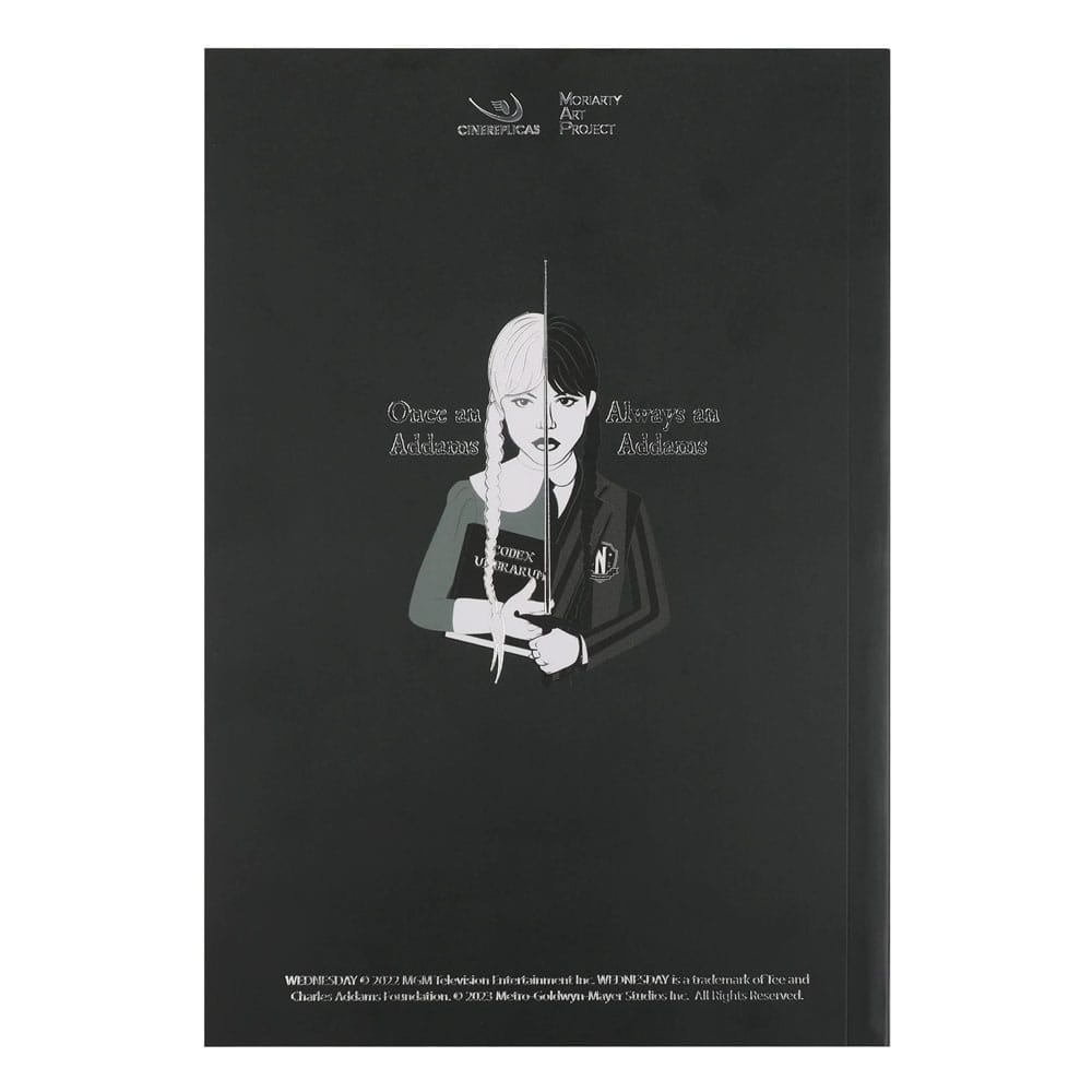 Mercoledì quaderno mercoledì con violoncello