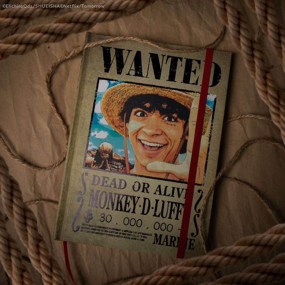 One Piece Notebook Wanted Posters