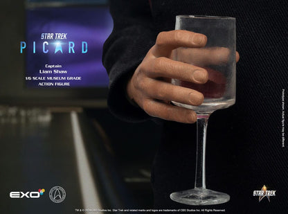 Star Trek: Picard Aksiyon Figürü 1/6 Kaptan Liam Shaw 30 cm
