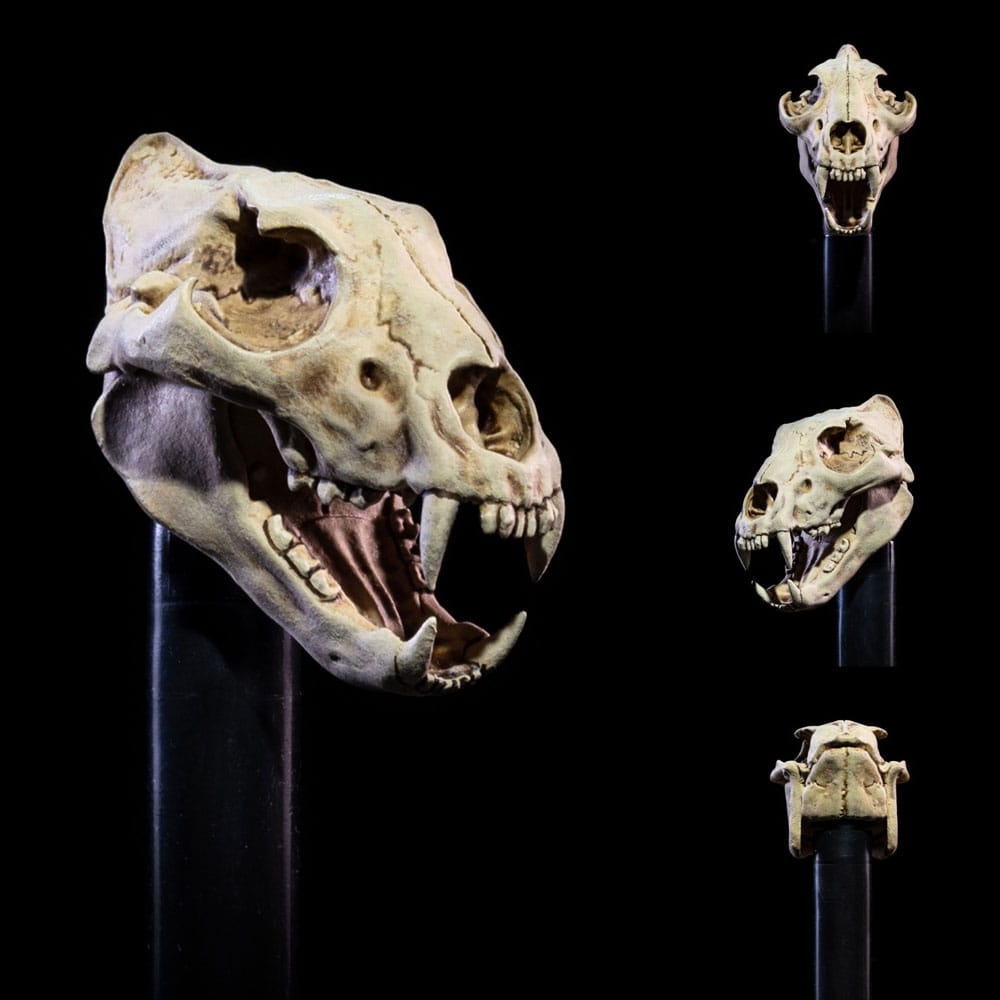 Mythic Legions ActionFigur the Undead of Vikenfell 15 cm