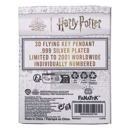 Harry Potter ketting met hangersly -sleutel