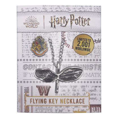 Harry Potter ketting met hangersly -sleutel