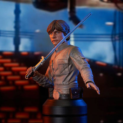 Star Wars Episodio V Bust 1/6 Luke Skywalker 15 cm