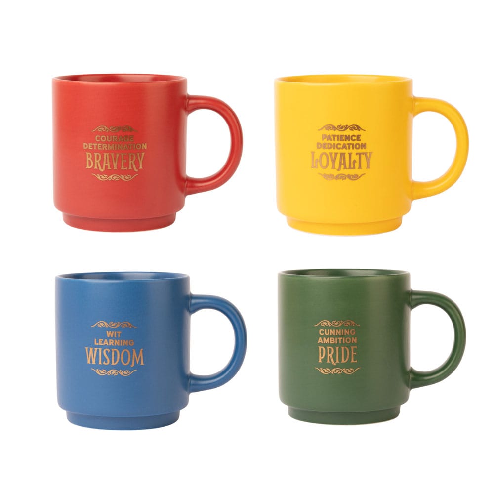 Harry Potter muggset (4)