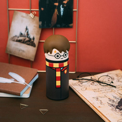 Astuccio 3D di Harry Potter Harry Potter