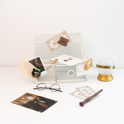 Harry Potter Gruppe 2 Magnetset