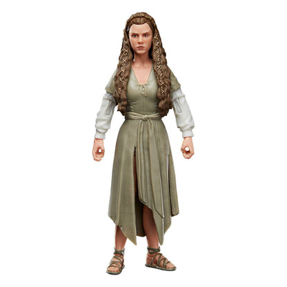 Star Wars Episodio VI Black Series Action Figura 2022 Princess Leia (Ewok Village) 15 cm