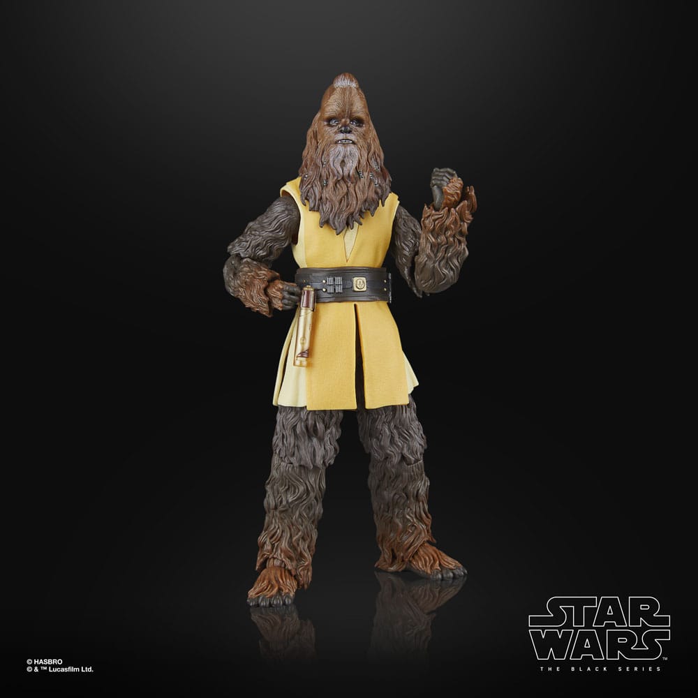 Star Wars: Acolyte Black Series Action Figur Jedi Master Kelnacca 15 cm