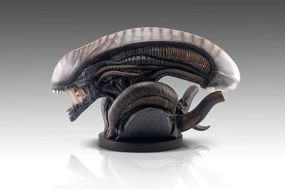 Alien Romulus Büste 1/1 Xenomorph 53 cm