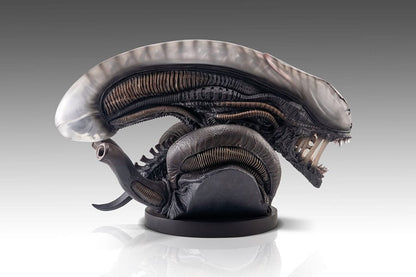 Alien Romulus Büste 1/1 Xenomorph 53 cm