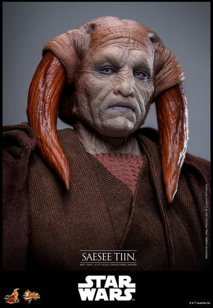 Star Wars: Episodio III - La vendetta dei Sith Film Capolavoro Action Figure 1/6 Saesee Tiin 31 cm