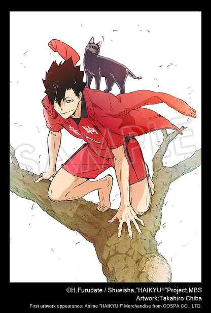 Haikyu !! Artfxj Statue 1/8 Tetsuro Kuroo 24 cm