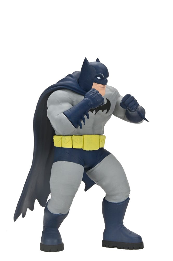 DC Comics Action Figures Serie 2 15 cm Assortiment (12)