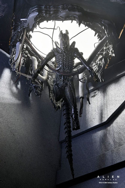 Alien: Romulus Action Figur Deluxe Suspended Lab Xenomorph XX121 18 cm