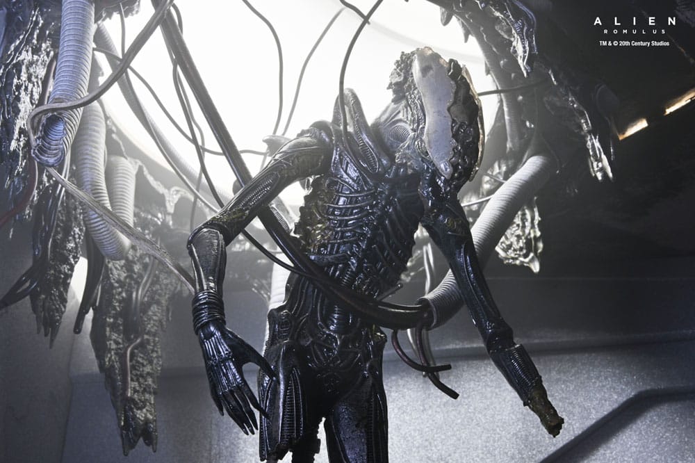 Alien: Romulus Action Figur Deluxe Suspended Lab Xenomorph XX121 18 cm