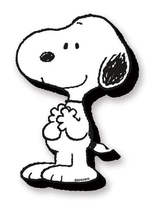 Peanuts: Snoopy Funky Chunky Magnets