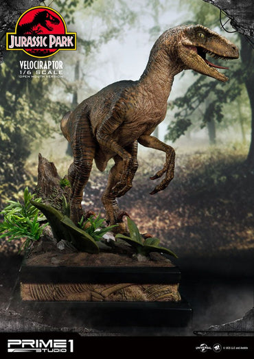 Jurassic Park standbeeld 1/6 Velociraptor 41 cm