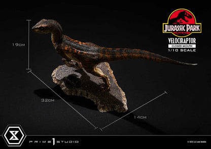 Jurassic Park Prime Collectibles Statue 1/10 Velociraptor Closed Mouth 19 cm