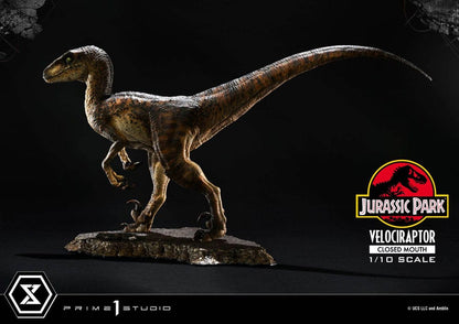 Jurassic Park Prime Collectibles Statue 1/10 Velociraptor Closed Mouth 19 cm