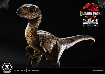 Jurassic Park Prime Collectibles Statue 1/10 Velociraptor Closed Mouth 19 cm