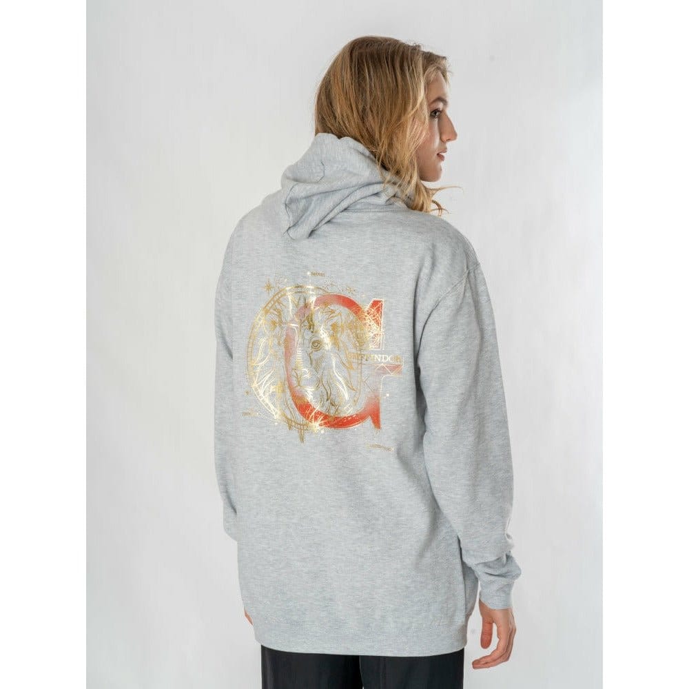 Maglione con cappuccio di Harry Potter Grifondoro Zodiaco