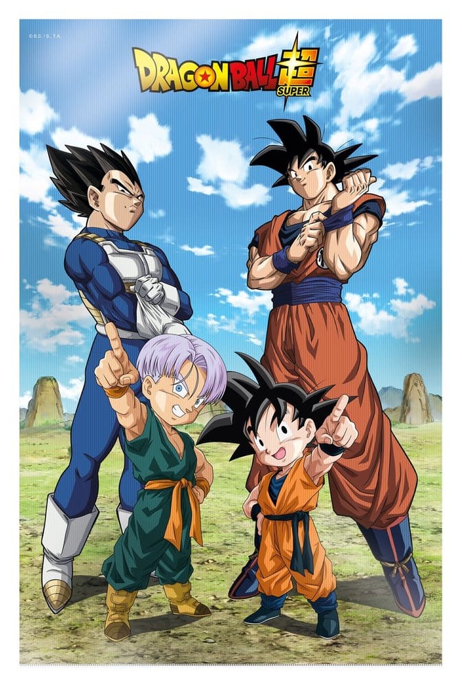 Dragon Ball Super 3D poster Battle of Gods Goku Vegeta Family 38 x 58 cm