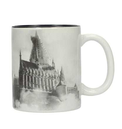 Harry Potter mugg Hogwarts slott
