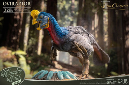 Maravillas de la estatua salvaje oviraptor (volver a ejecutar) 32 cm