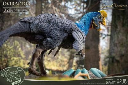 Maravillas de la estatua salvaje oviraptor (volver a ejecutar) 32 cm